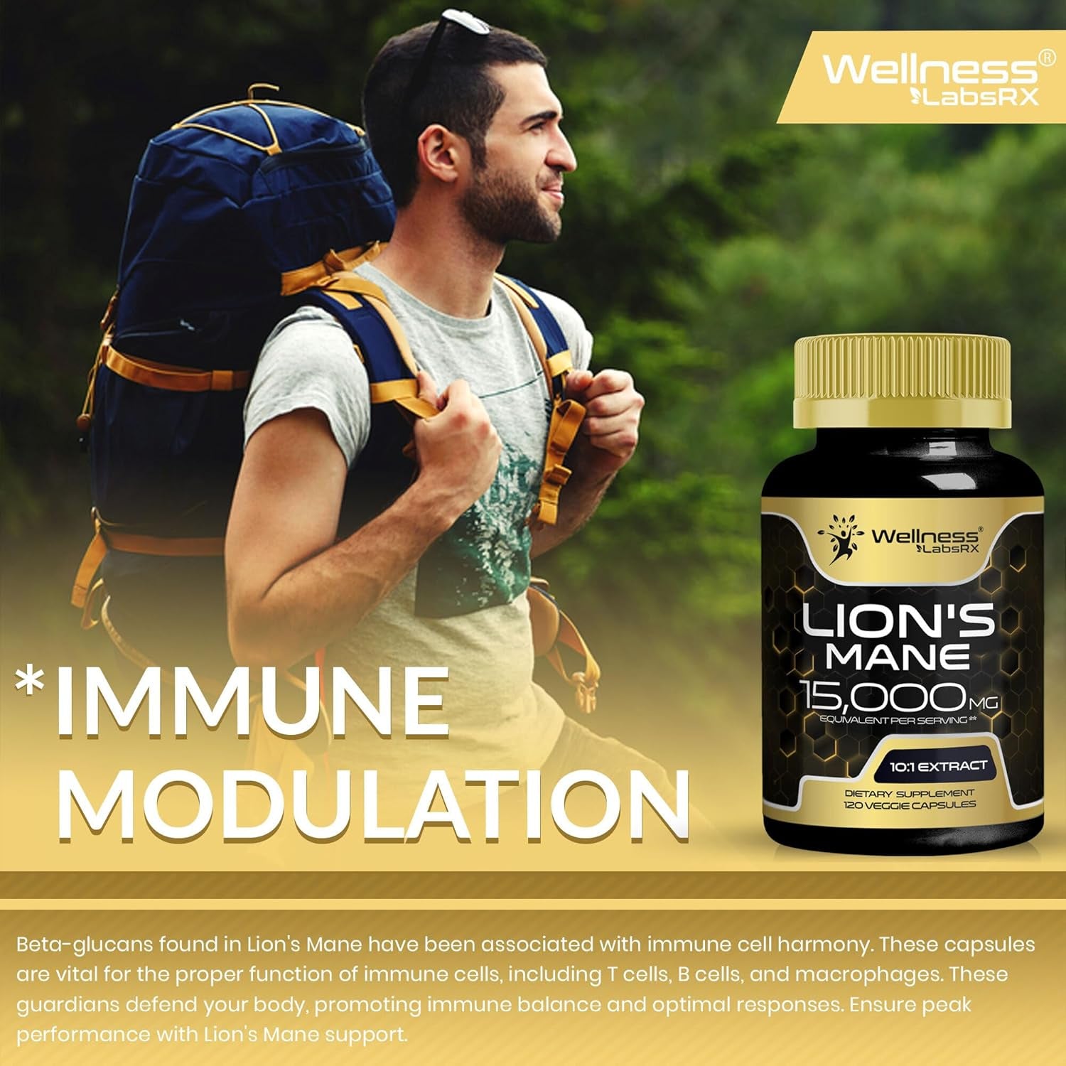 Lions Mane Supplement Capsules