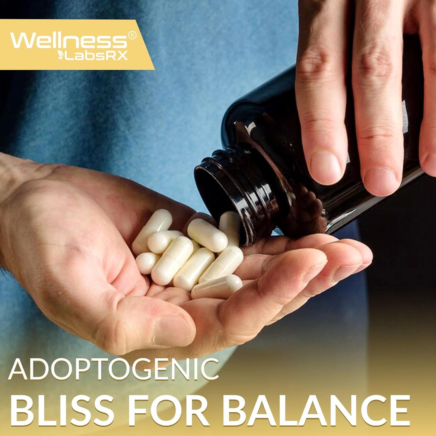Lions Mane Supplement Capsules