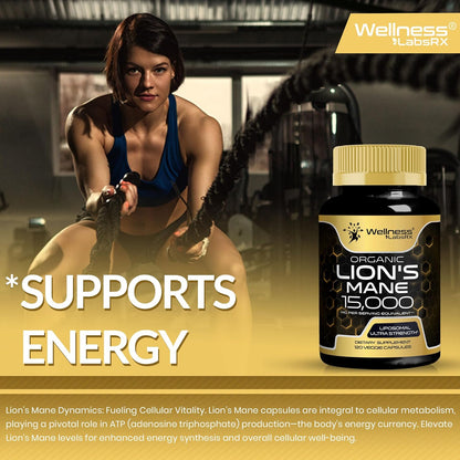 Lions Mane Supplement Capsules
