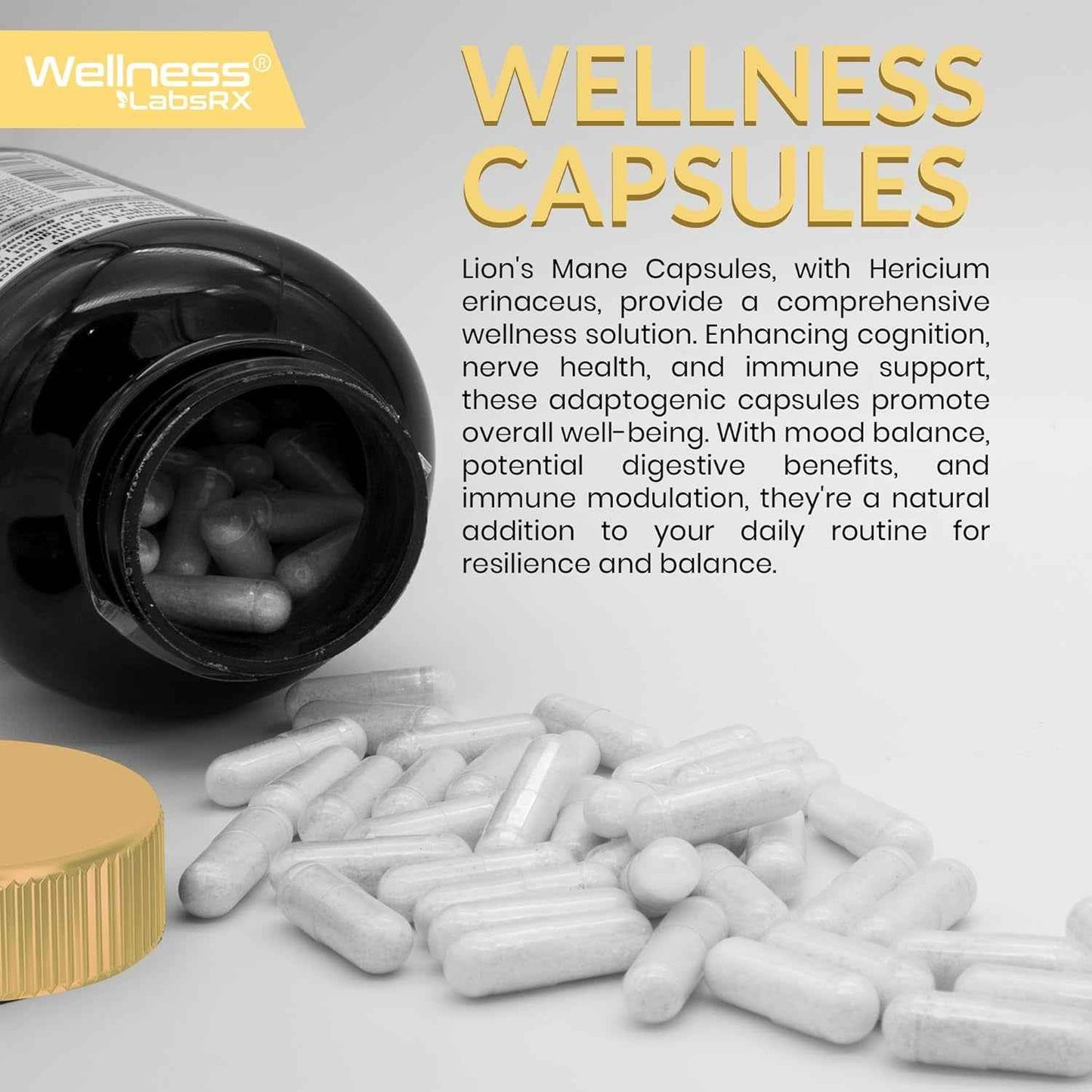 Lions Mane Supplement Capsules